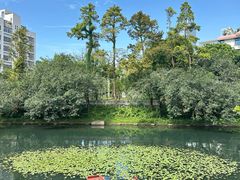 -荔枝公园(福田区)