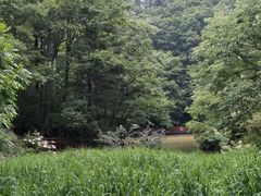 -洛阳白云山景区