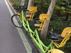 -合肥滨湖国家森林公园