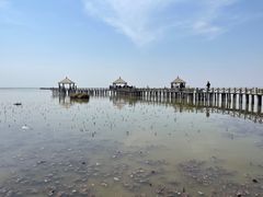 -哈素海