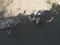-昆明动物园