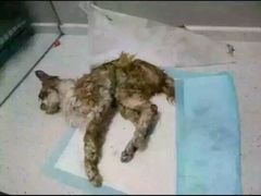 android_upload_pic-盛京一禾