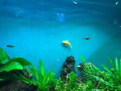 -太平洋海底世界