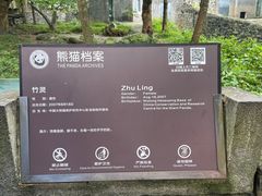 -都江堰中华大熊猫苑