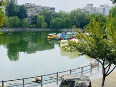 -莲湖公园
