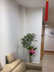 -北京叶子整形美容医院