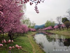-石塘人家
