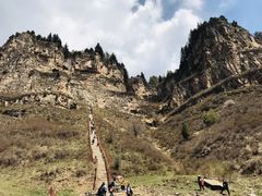 -芦芽山旅游度假区