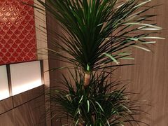 -海底捞火锅(高科广场店)