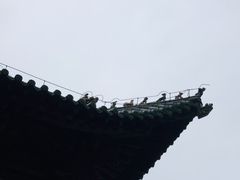 -隋唐大运河文化博物馆