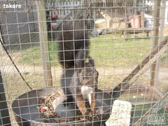 -意大利农场度假村