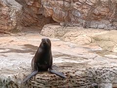-珠海长隆海洋王国