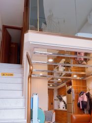-安雅国际月子会所(拱北森宇富通店)