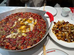 -蜀阳餐厅·金牌水煮鱼