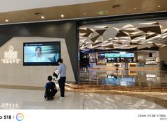 -合景·悠方(成都店)