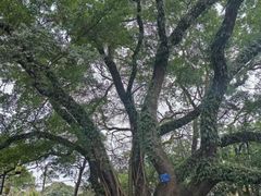 -桂林独秀峰王城景区