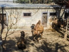 -昆明动物园