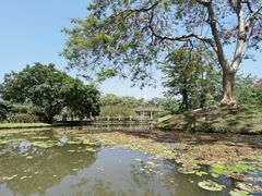 -中国科学院西双版纳热带植物园