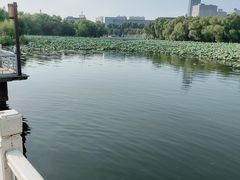 -长春市南湖公园