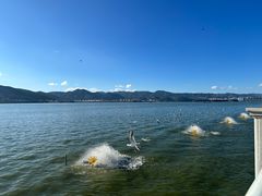 -海埂大坝