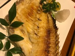 烤真鲷鱼排-気楽亭和食料理(气乐亭大世界本店)
