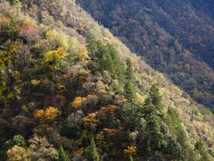 -叠溪松坪沟景区