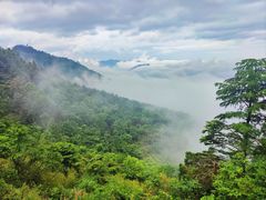 -九华山风景区