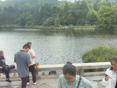-庐山风景区花径公园