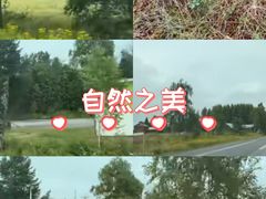 -北京九华山庄会展酒店