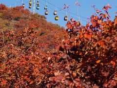 -周口店坡峰岭风景区