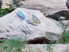 -黑龙潭风景区