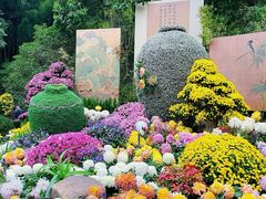 -杭州植物园