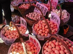 -示范集贸市场