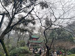 -岳麓山风景名胜区