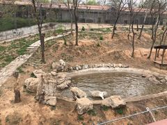 -石家庄市动物园