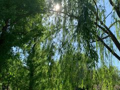 -元大都城垣遗址公园