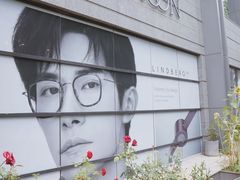 -大视光学•LINDBERG林德伯格•全球手工眼镜集合店(王府井店)