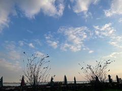 -七的湖·晚芳亭·阳澄湖农家菜·大闸蟹(莲花岛店)