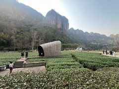 -十九峰景区