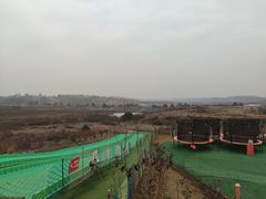 -空港花田景区