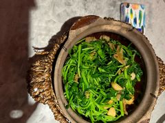 -天辣(金桥啦啦宝都店)