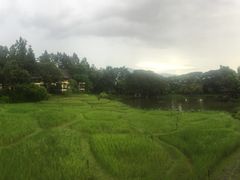 -四季酒店下午茶