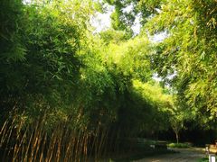 -上海方塔园