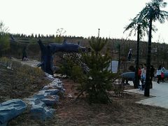 -鄂尔多斯野生动物园