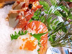 -蟹将军日本料理(中南路店)