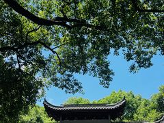 -杭州半山国家森林公园