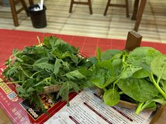 -岳记兴隆·青城腊排铜火锅(融创店)