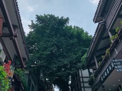 -磁器口古镇