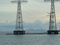 -宝安西湾红树林湿地公园