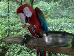 -千岛湖东南湖区
